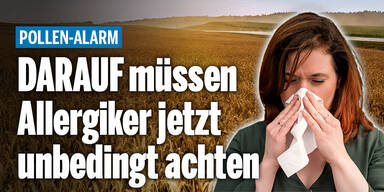 Roggen_Konsole.jpg