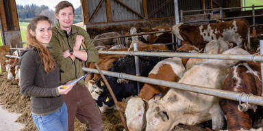 Handelsriese zu Mercosur: Frischfleisch nur aus Österreich