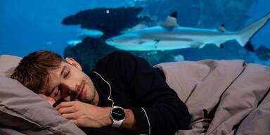 Samsung Sleeptember Michi Buchinger Presse.jpg