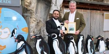 Scariano: Pinguin-Pate vor Weihnachtstour