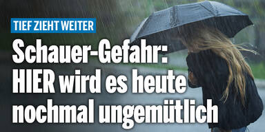 Schauer_Konsole.jpg
