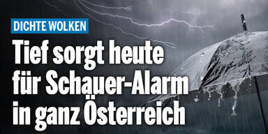 Schauer_Konsole.jpg
