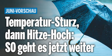 Schirm_Konsole.jpg
