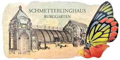 Schmetterlinghaus - Burggarten