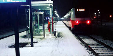 Schnee Wien