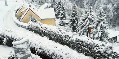 Schnee-Wien.jpg