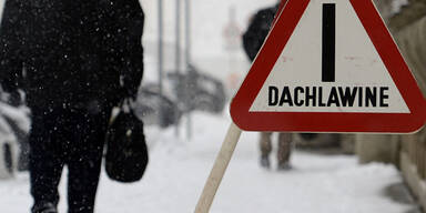 Schnee_APA14.jpg