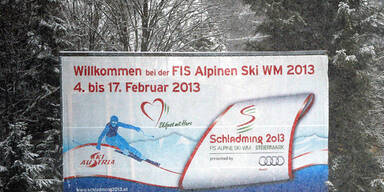 Schnee_APA4.jpg