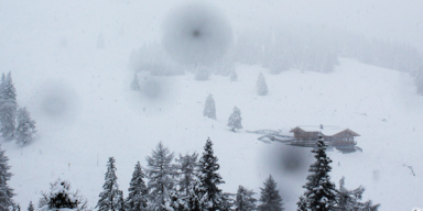 Schnee_Header.png