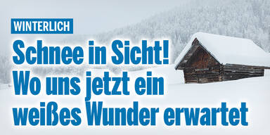 Schnee_Konsole.jpg