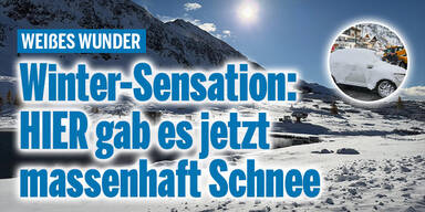 Schnee_Konsole_NEU.jpg