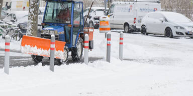 Schnee_Kronsteiner4.jpg