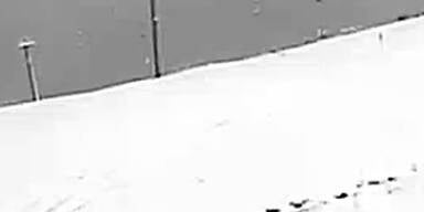 Schnee_webcam5.jpg