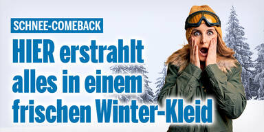 Schneecomeback_Konsole.jpg