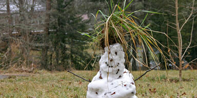 Schneemann.jpg