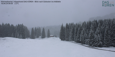 Schneetreiben_Bild1.png
