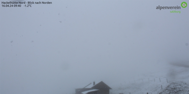 Schneetreiben_Bild3.png