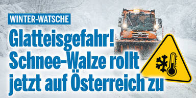 Schneewalze_Konsole.jpg