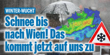 Schneewien_Konsole.jpg