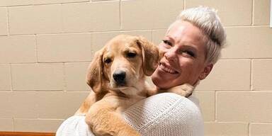 Aus und vorbei: Ehe von Pink nach 20 Jahren am Ende 