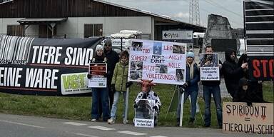 Verein gegen Tierfabriken protestiert wegen Rinderexporten nach Algerien