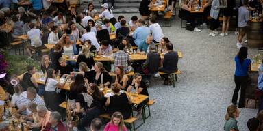 Steinfeder Nacht Spitz