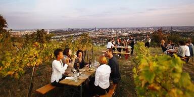 Vienna Wine Hike: Studierende laden zu Weinberg-Tour