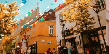 Gute-Laune-Zone: 1.125 Lampions für Wiener Neustadt