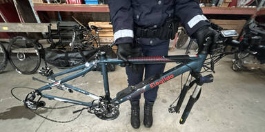 Waldarbeiter von Dieben mit Auto überfahren