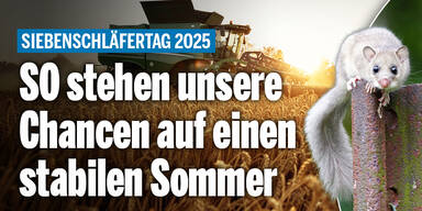 Siebenschläfer_Konsole.jpg