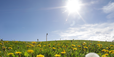 Sommerhitze_Header.png
