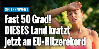 Spitzenwert_Konsole.jpg
