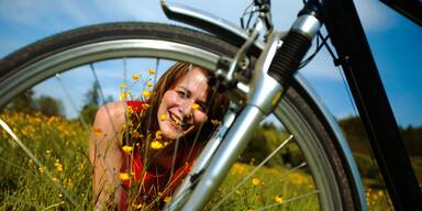 Steiermark Tourismus  Rad