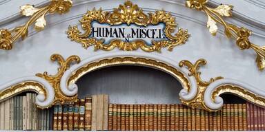 Stiftsbib Admont Regal .jpg