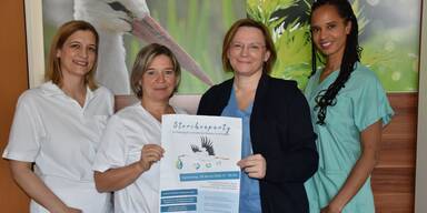 Storchenparty im Landesklinikum Scheibbs: Informationsabend für werdende Eltern