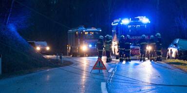 Heftige Sturmböen führten zu vielen Feuerwehreinsätzen