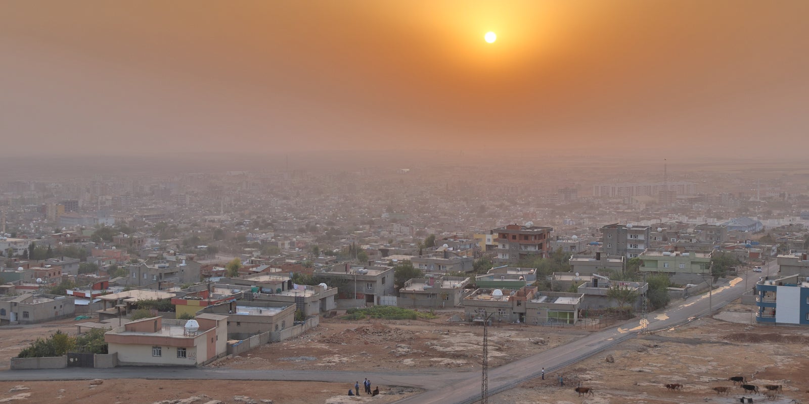 Dinalva Vasconcelos erome - I happened to be on the hunt for.