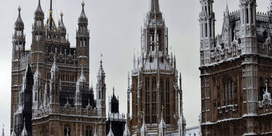 TAPFTP-20101218225450_LLP.jpg