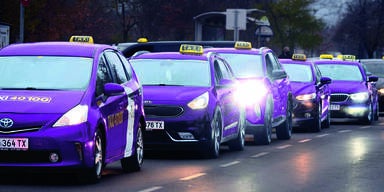 Violette Taxis für Wien? Stadt plant Einheitslook