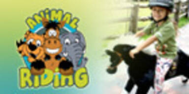 Animal Riding
