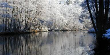 Das "entrische" Thayatal entdecken