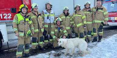 Die alarmierten Feuerwehrleute retteten den Vierbeiner.