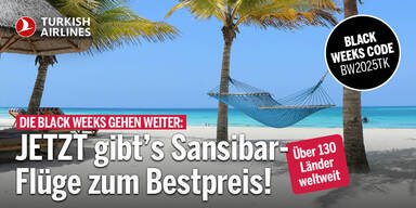 Turkish Airlines Konsole Samstag 061225.jpg