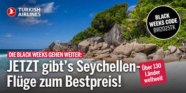 Turkish Airlines Konsole Sonntag 071225.jpg