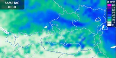 Unbenannt-1.jpg