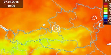 Unbenannt-1.jpg