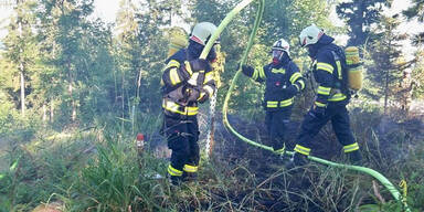 Waldbrand Rohrbach Haslach Oberösterreich 
