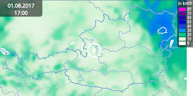 Unbenannt-1.jpg