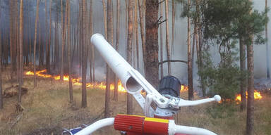 Waldbrand Berlin