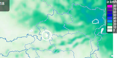 Unbenannt-1.jpg